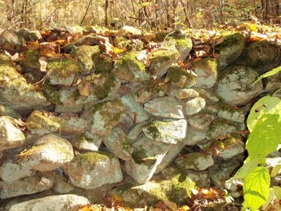 PA150078.jpg PA150078.jpg