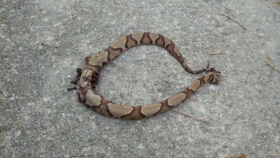 201207ltl.jpg