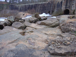 DSC02925.jpg DSC02925.jpg