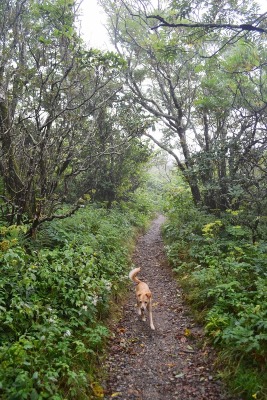 DSC_3244.jpg DSC_3244.jpg