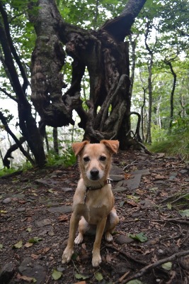 DSC_3255.jpg DSC_3255.jpg