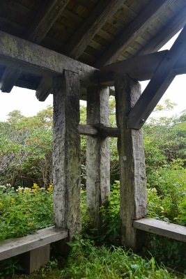 DSC_3263.jpg DSC_3263.jpg