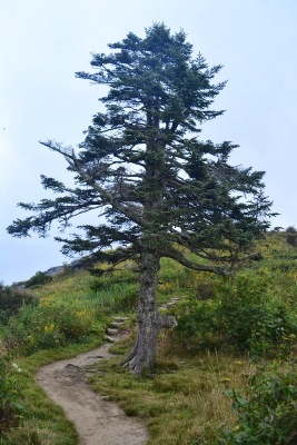 DSC_3280.jpg DSC_3280.jpg