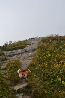 DSC_3288.jpg DSC_3288.jpg