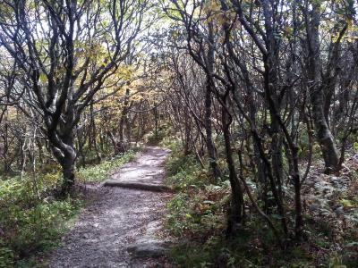 2013-10-05122527.jpg 2013-10-05122527.jpg