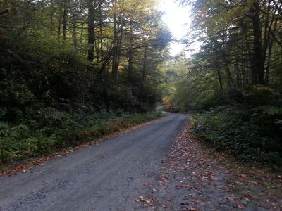 2013-10-06082441.jpg 2013-10-06082441.jpg
