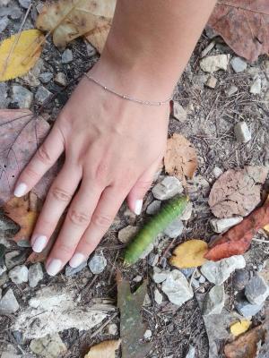 2013-10-06131949.jpg 2013-10-06131949.jpg