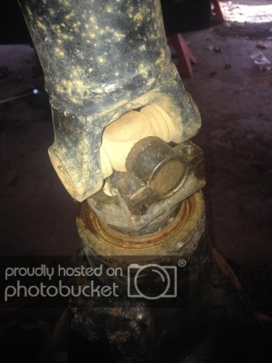 IMG_5768_zps308dd431.jpg IMG_5768_zps308dd431.jpg