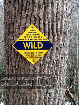 B3EC8D52-ECAC-4BBB-AACB-B9619D08EAD8_zpswp6limsi.jpg B3EC8D52-ECAC-4BBB-AACB-B9619D08EAD8_zpswp6limsi.jpg