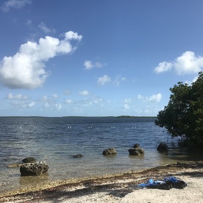 D03E5487-C847-47ED-BF44-56805C87E241.jpeg D03E5487-C847-47ED-BF44-56805C87E241.jpeg
