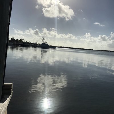 77304E61-3017-4300-8C99-FC7B0CF07574.jpeg 77304E61-3017-4300-8C99-FC7B0CF07574.jpeg