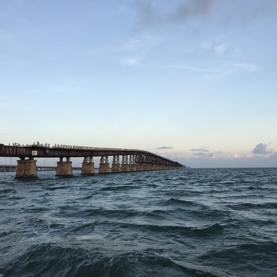14781EF7-6C2C-4294-9D57-7F7155FAF467.jpeg 14781EF7-6C2C-4294-9D57-7F7155FAF467.jpeg