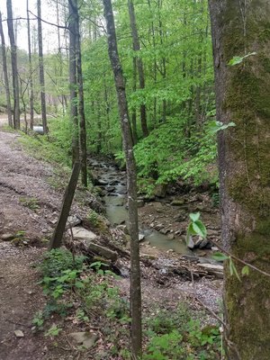 IMG_20190425_145251892_HDR.jpg