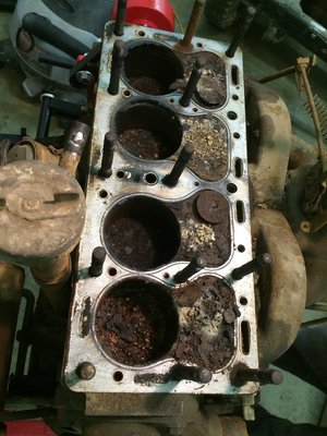 IMG_1095.jpg IMG_1095.jpg