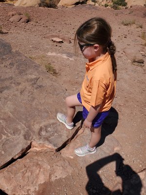 20220808_113619.jpg 20220808_113619.jpg