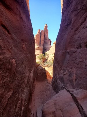 20220808_164210.jpg 20220808_164210.jpg