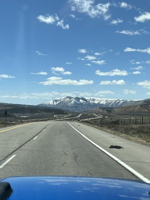 IMG_1083.jpeg IMG_1083.jpeg