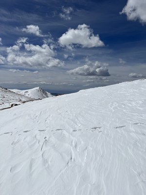 IMG_0935.jpeg IMG_0935.jpeg
