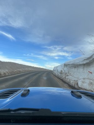 IMG_1623.jpeg IMG_1623.jpeg