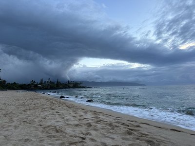 IMG_4784.jpeg