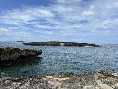 IMG_4793.jpeg