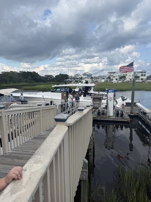 IMG_5295.jpeg IMG_5295.jpeg