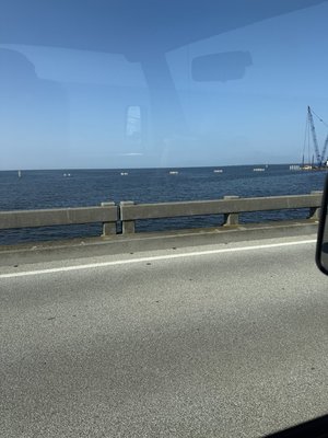 IMG_5298.jpeg IMG_5298.jpeg