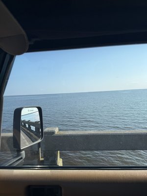 IMG_5300.jpeg IMG_5300.jpeg