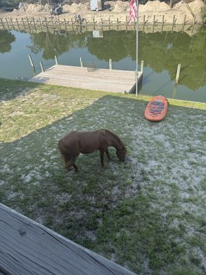 IMG_5314.jpeg IMG_5314.jpeg