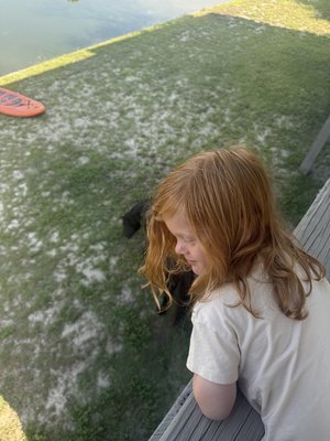 IMG_5311.jpeg IMG_5311.jpeg