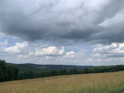 IMG_0142.jpeg
