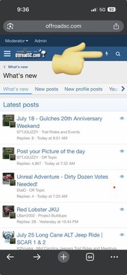 IMG_8253.jpeg IMG_8253.jpeg