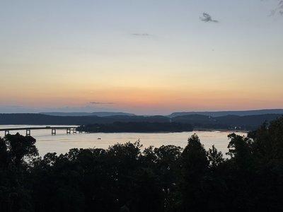 IMG_8343.jpeg IMG_8343.jpeg