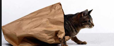 ImageUploadedByTapatalk1410891944.085691.jpg ImageUploadedByTapatalk1410891944.085691.jpg