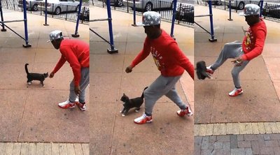 catkick.jpg catkick.jpg