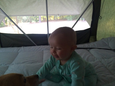 ImageUploadedByTapatalk1419956569.710360.jpg ImageUploadedByTapatalk1419956569.710360.jpg