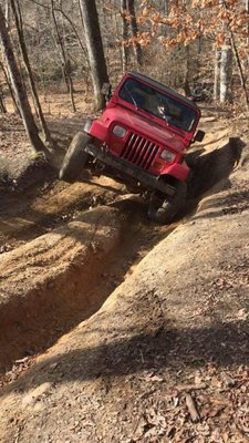 IMG_1393.jpg IMG_1393.jpg