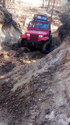 IMG_1394.JPG IMG_1394.JPG