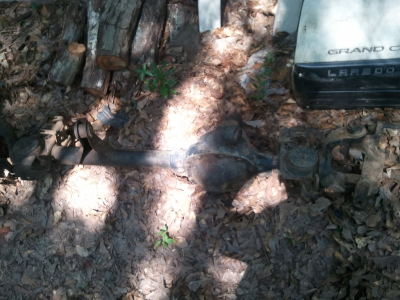 2011-07-03115642.jpg 2011-07-03115642.jpg